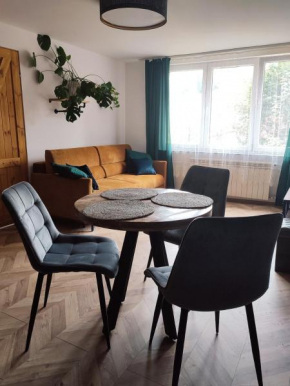 Industrial apartament
